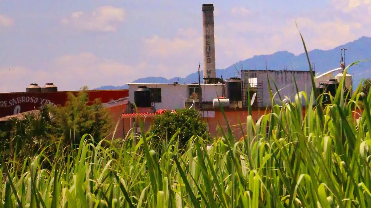 Veracruz celebra nuevo decreto Veracruz celebra nuevo decreto
