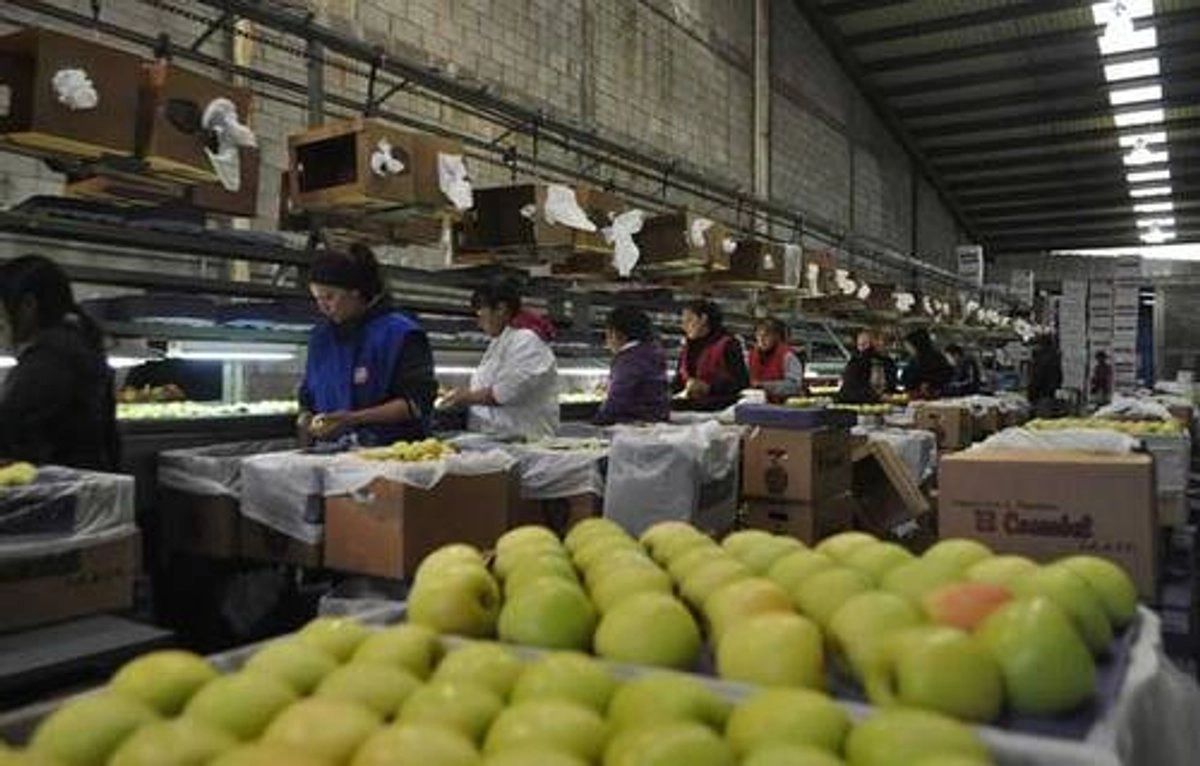 SE inicia investigación 'antidumping' a manzanas importadas SE inicia investigación 'antidumping' a manzanas importadas