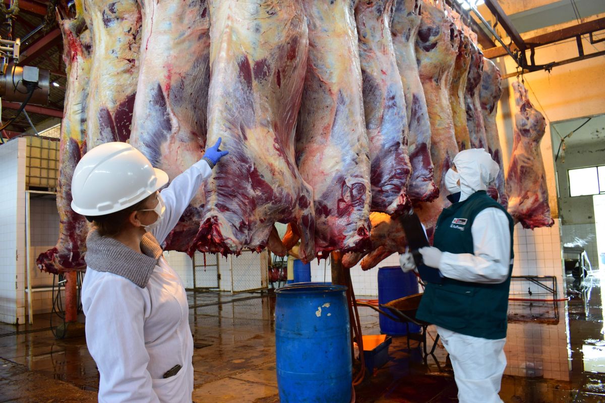 Refuerzan control sanitario en cárnicos Refuerzan control sanitario en cárnicos