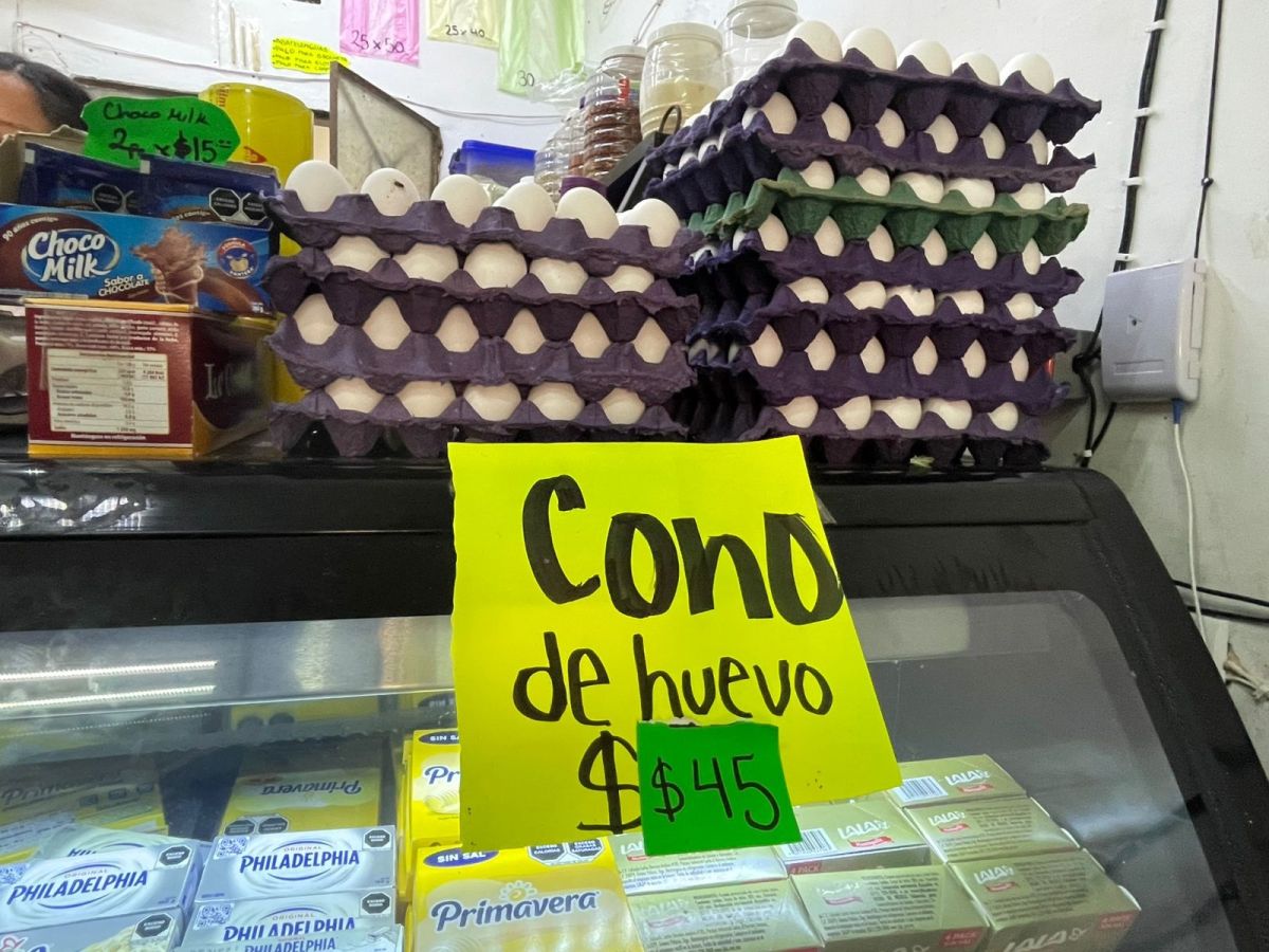 En duda, calidad del huevo importado En duda, calidad del huevo importado