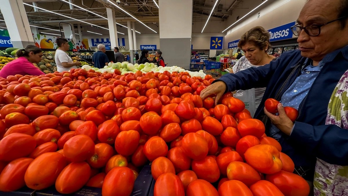 Sin freno, precios de jitomate, papa y chile Sin freno, precios de jitomate, papa y chile